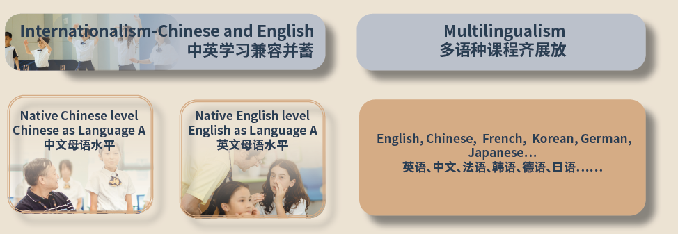 Specialised Courses插图2